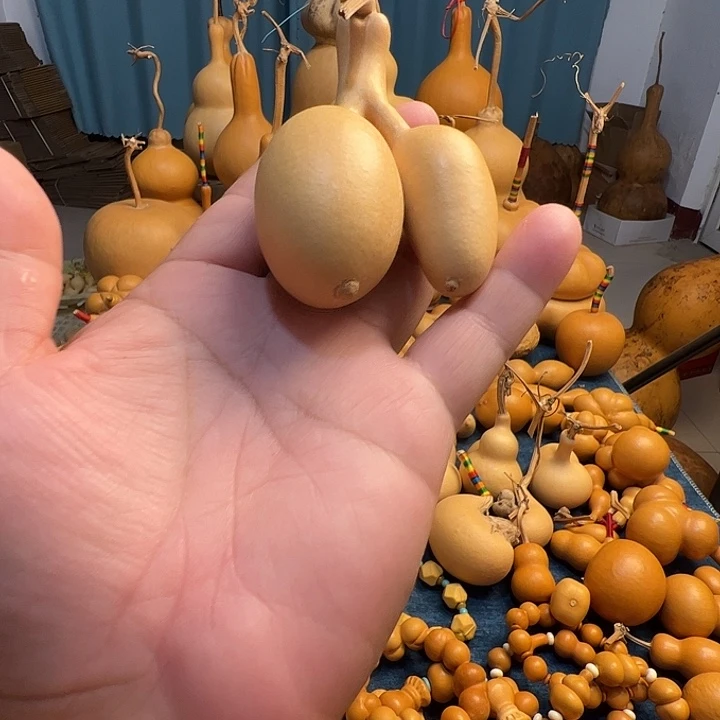 风***下蚂蚁双胞胎葫芦微瑕