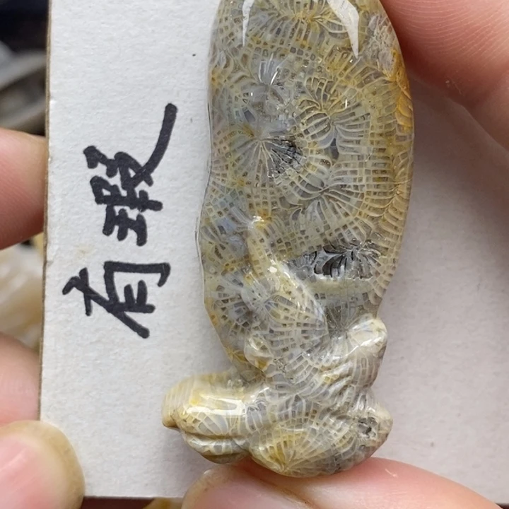 硅化珊瑚（珊瑚玉）未镶嵌颈饰