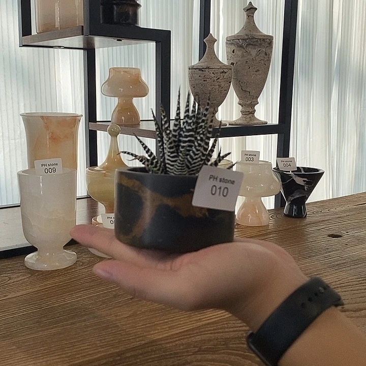 石材010黑金花 肉肉小盆栽
