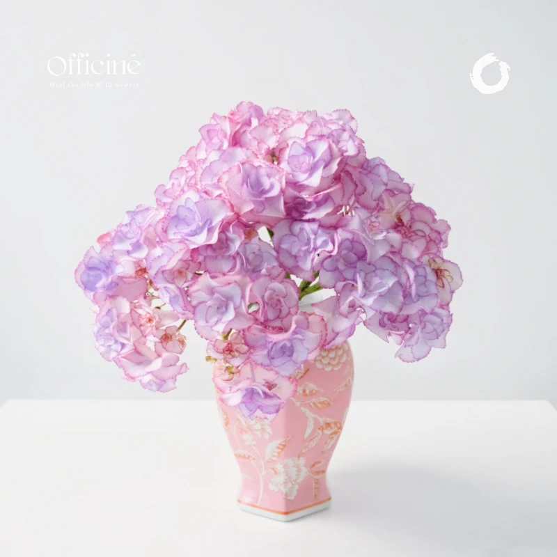 绣球 弗洛伦斯 Officine美好花市基地直采鲜切花顺丰空运