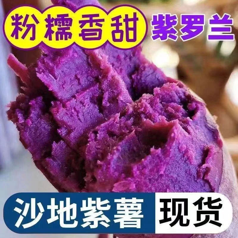 伍农乡A新鲜沙地紫薯紫罗兰香甜粉糯粗粮番薯蜜薯地瓜香小紫薯5斤