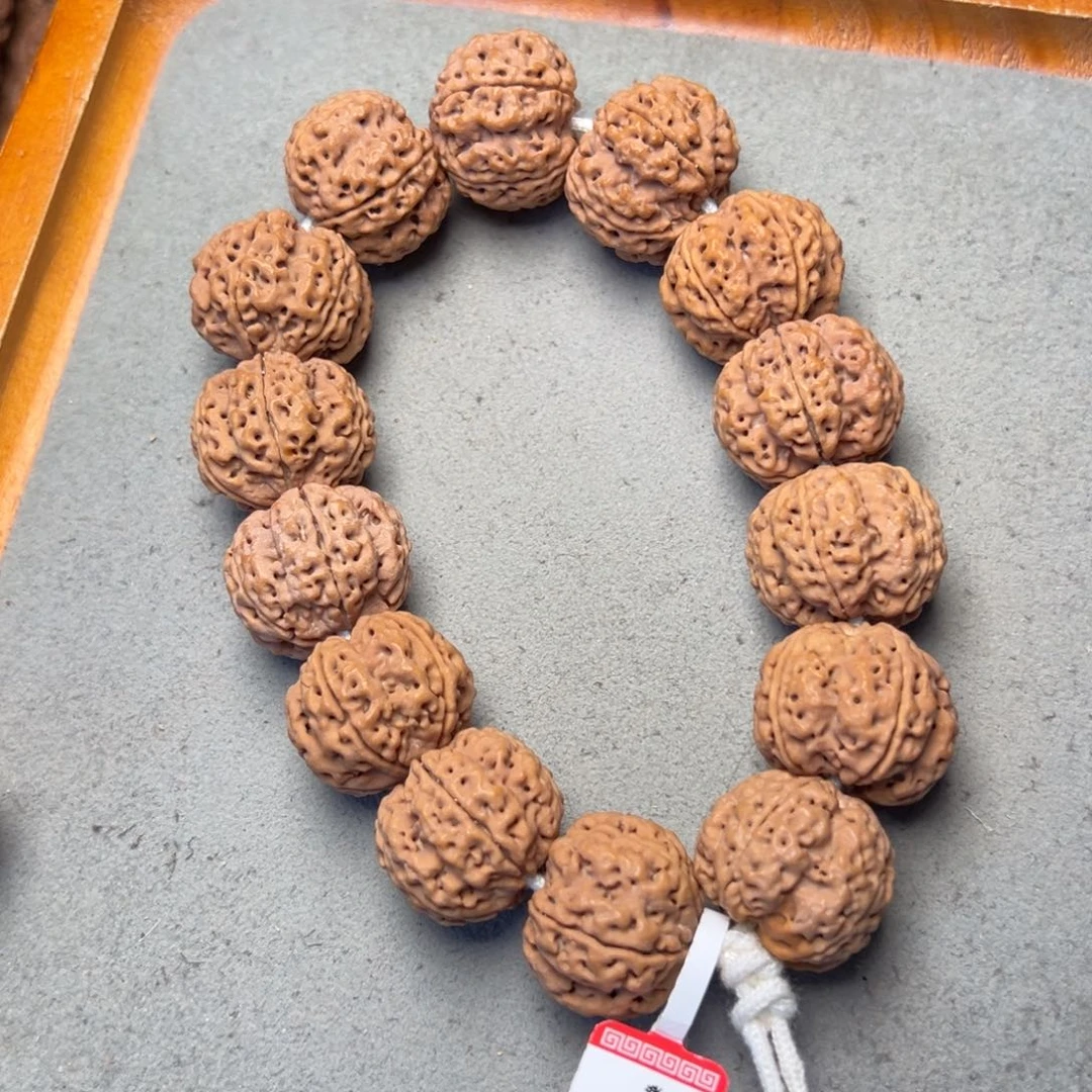 菩提21号金刚菩提满肉梅花23