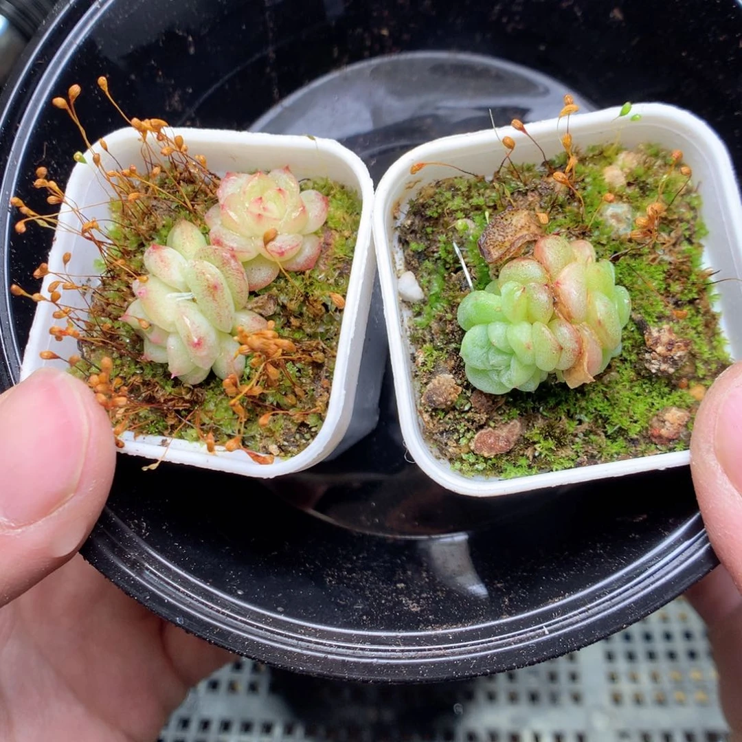 T122y y y y y y y y y y