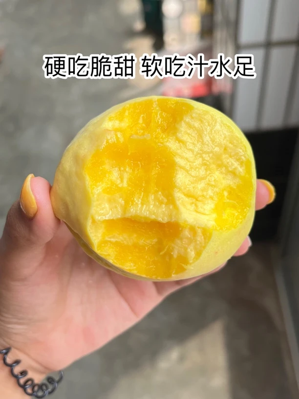 山东蒙阴大黄桃子软脆甜应季新鲜水果毛桃正宗黄金蜜