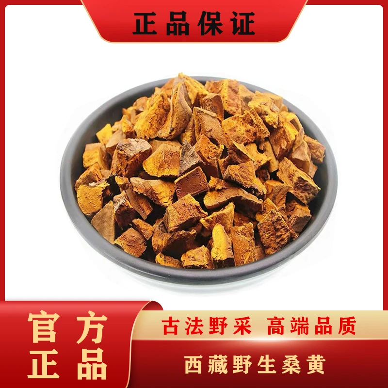 西藏高原桑黄切块干货