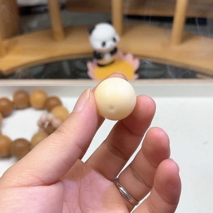 菩提根/象牙果吊坠?****?