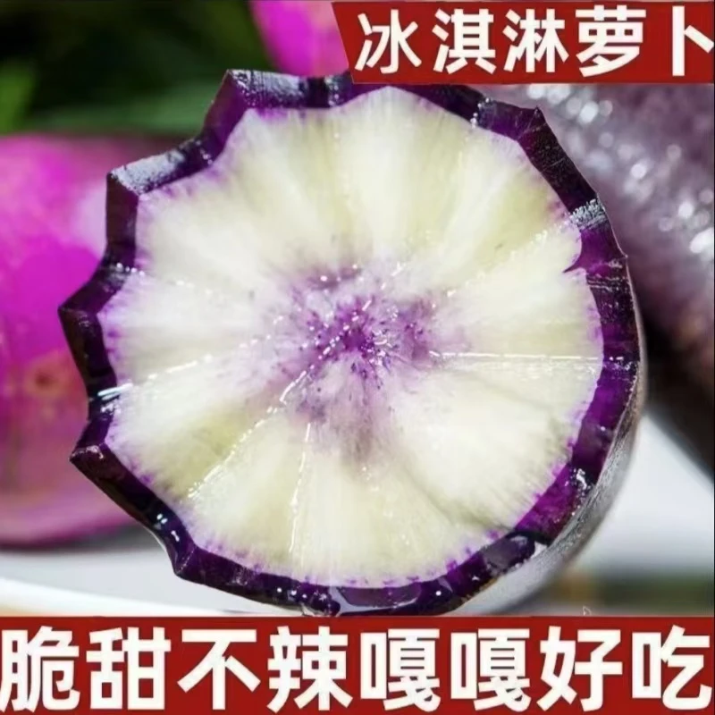 正宗永清新鲜现拔冰淇淋东北水果萝卜紫色紫萝卜甜脆多汁可生吃