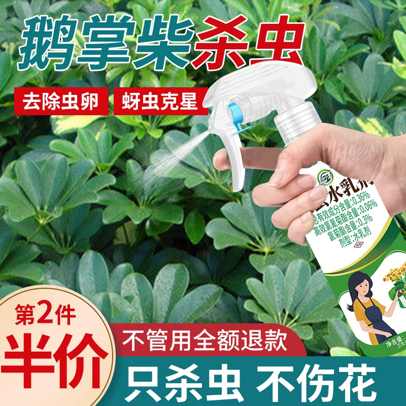 【鹅掌柴】杀虫剂家用植物花卉免稀释喷雾绿植灭小飞虫卵双杀神器