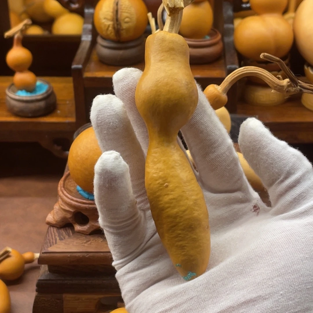 花***俊莲花头蚂蚁一物一拍