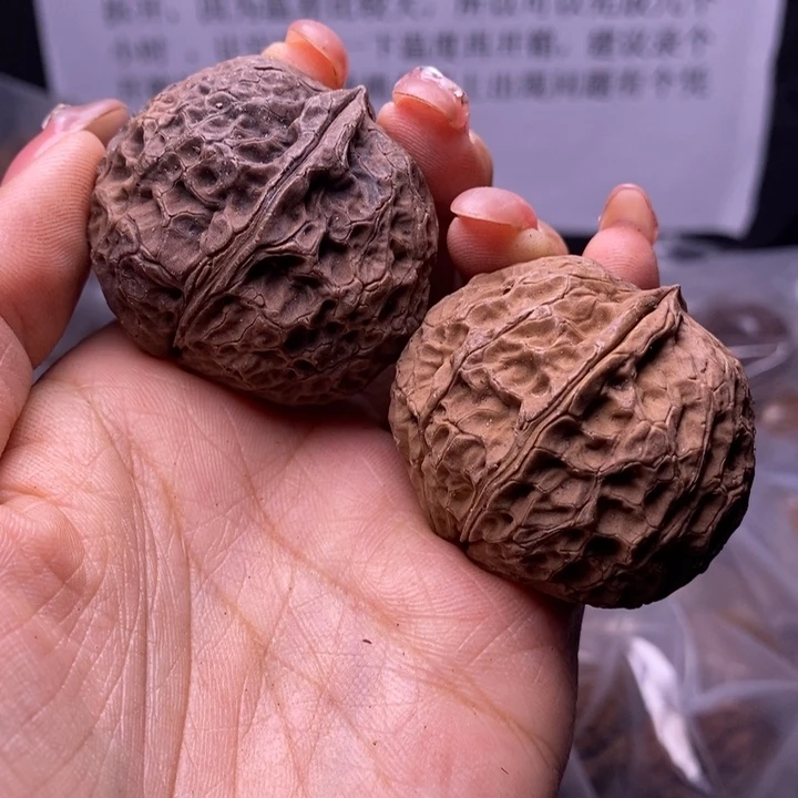 核桃云南野生铁核桃107号42mm