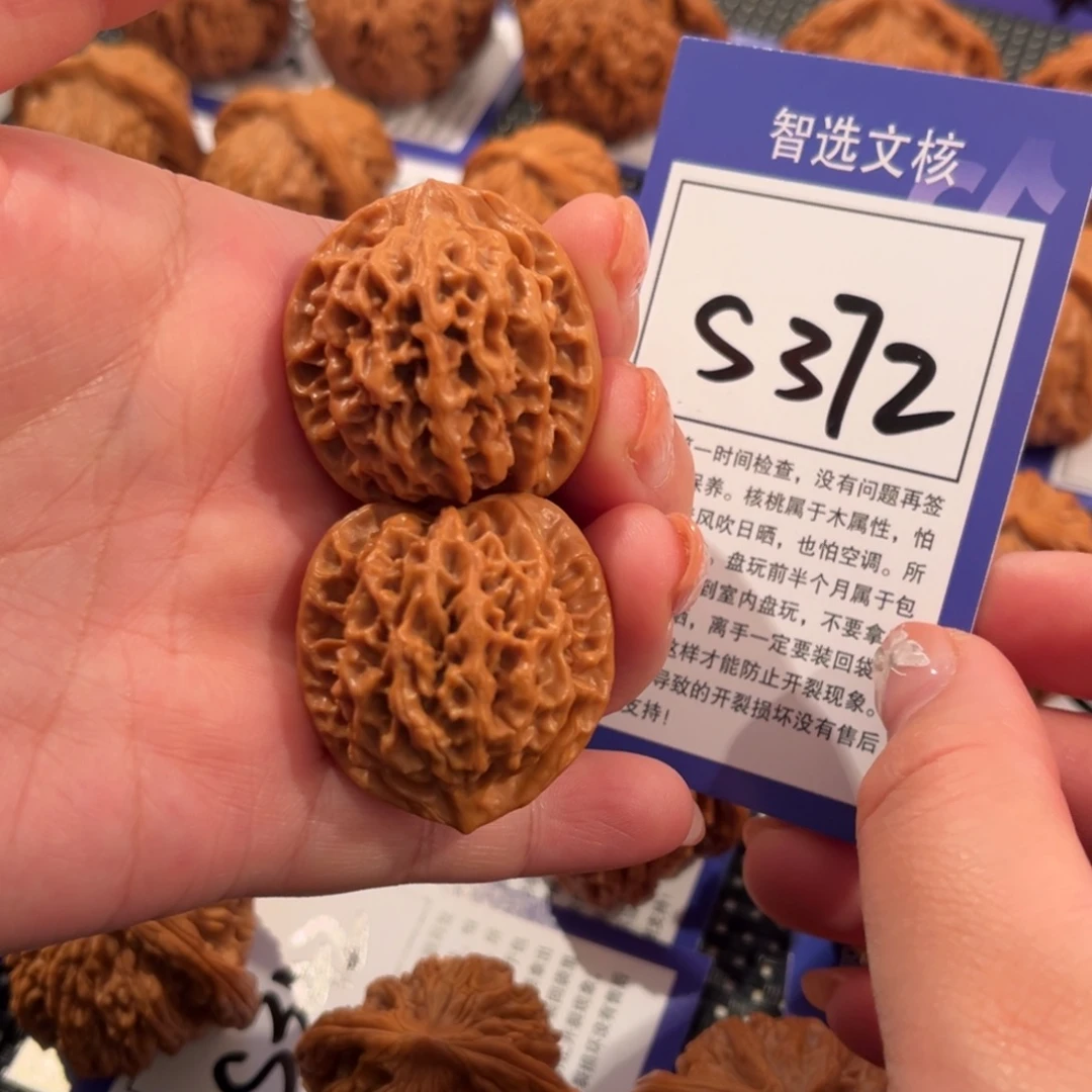 核桃S372号秦闷32尺