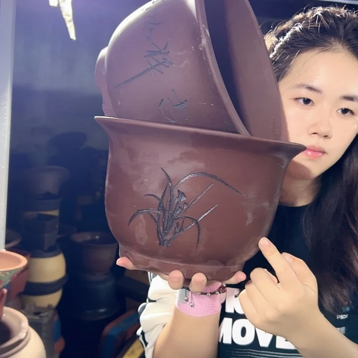 25+25平角金钟花盆花盆花盆