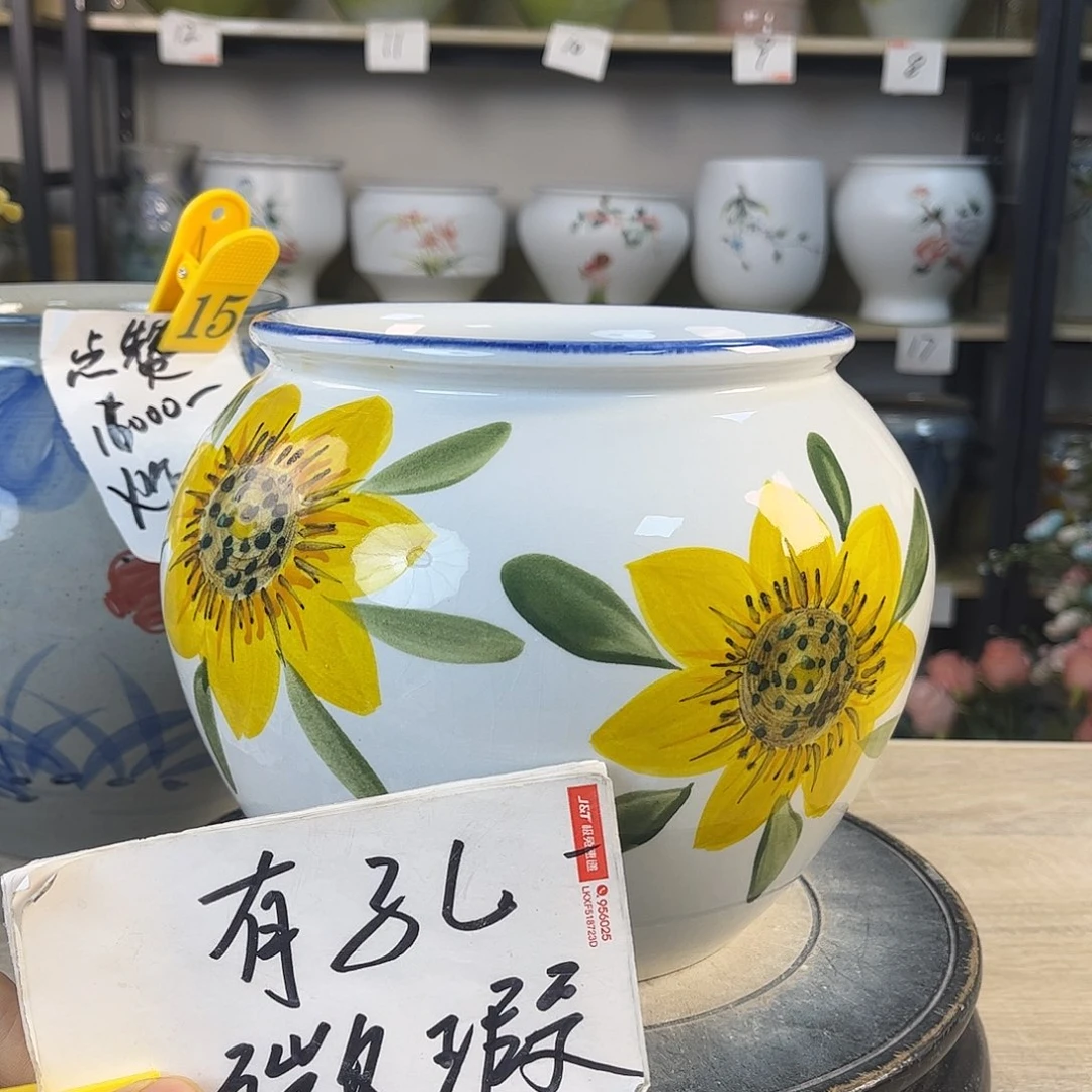 罐1xc景德镇陶瓷花盆