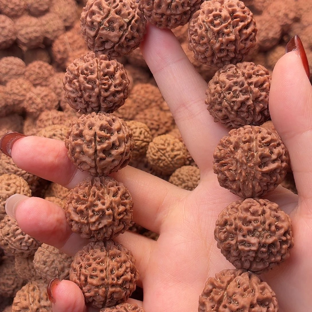 手串金刚菩提八瓣 24 36号