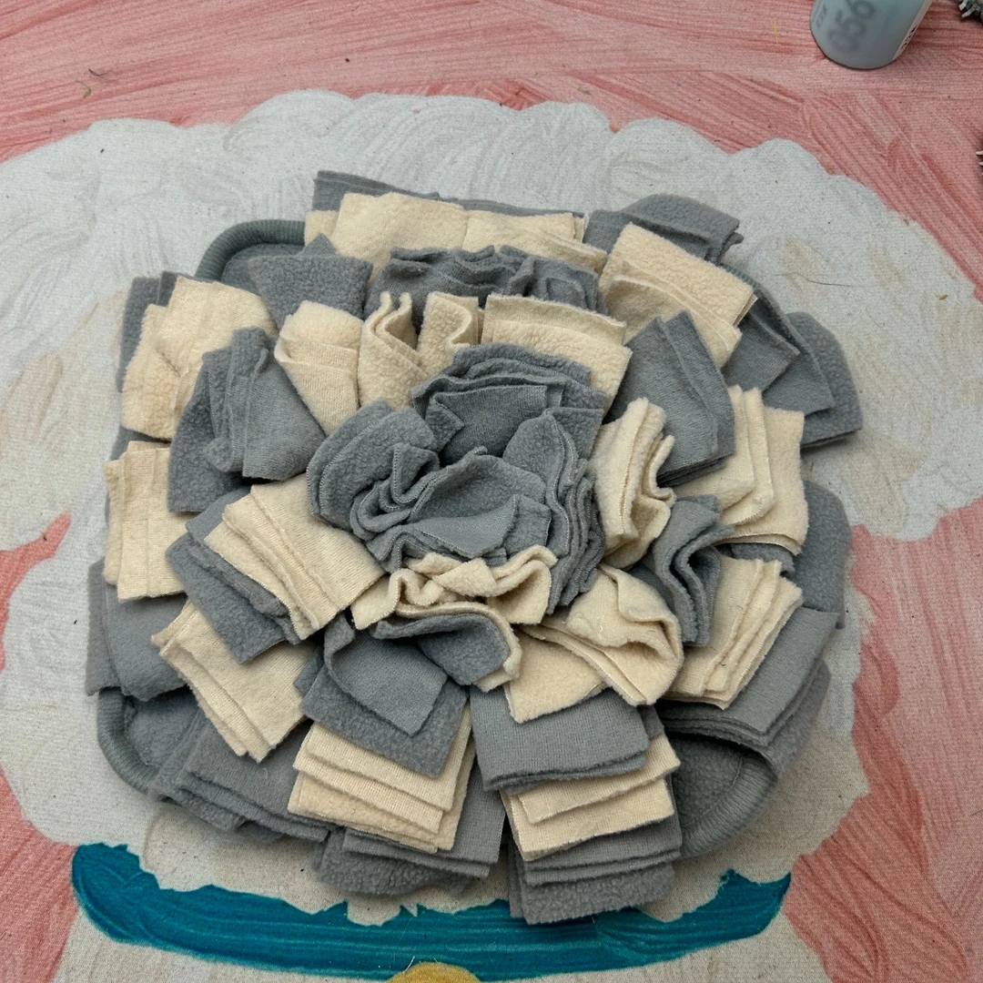 【王又又专属】嗅闻垫宠物闻嗅垫解压慢食益智找食玩具机洗室内防滑