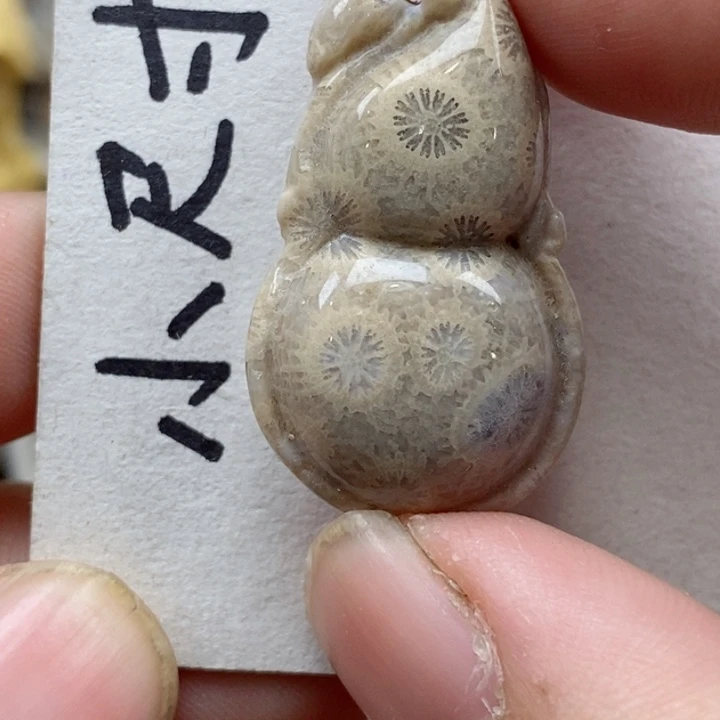 颈饰未镶嵌硅化珊瑚（珊瑚玉）