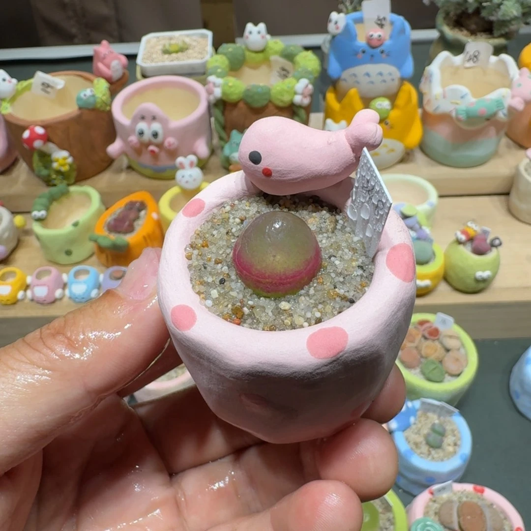 红陶蘑菇479灯泡