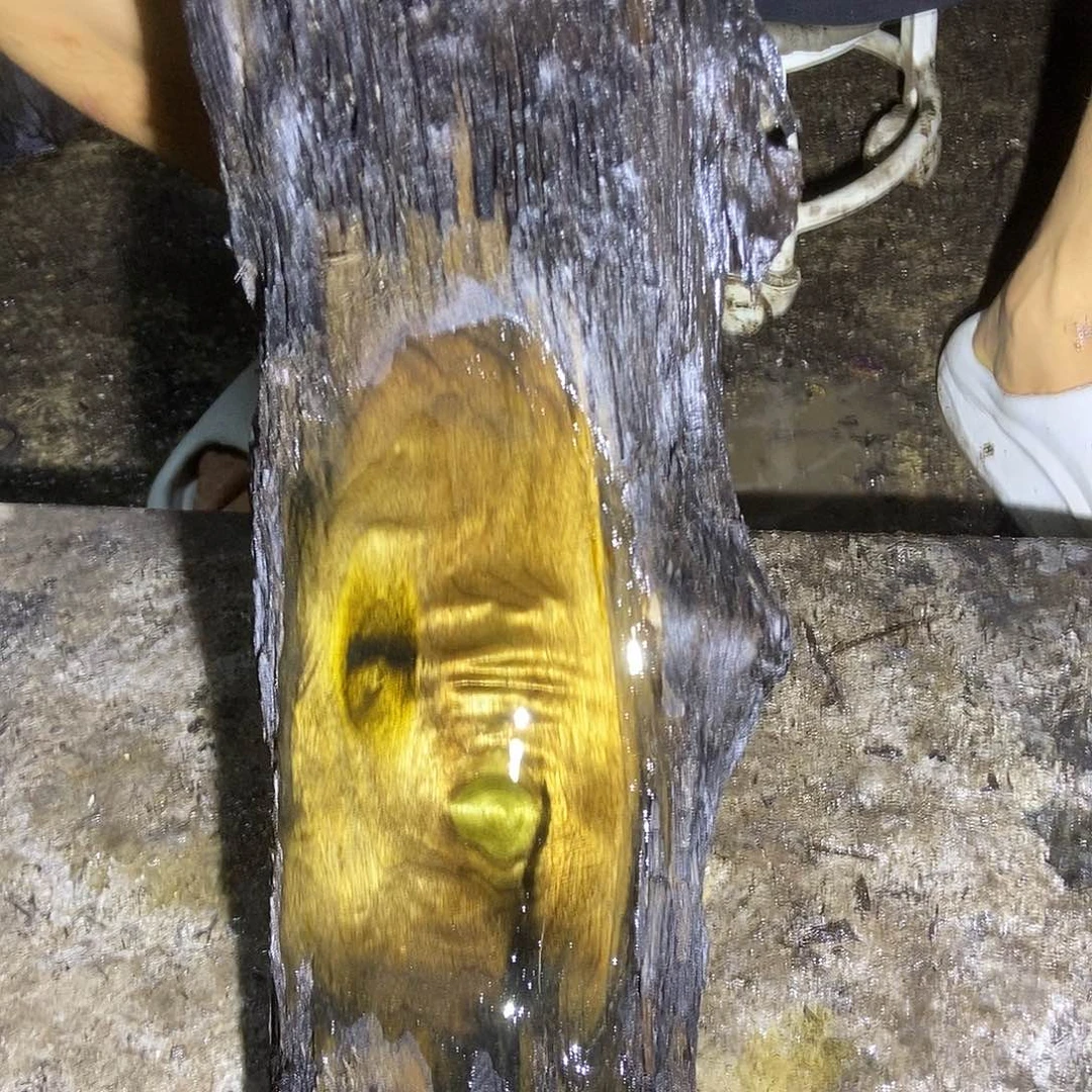 金丝楠阴沉木毛料