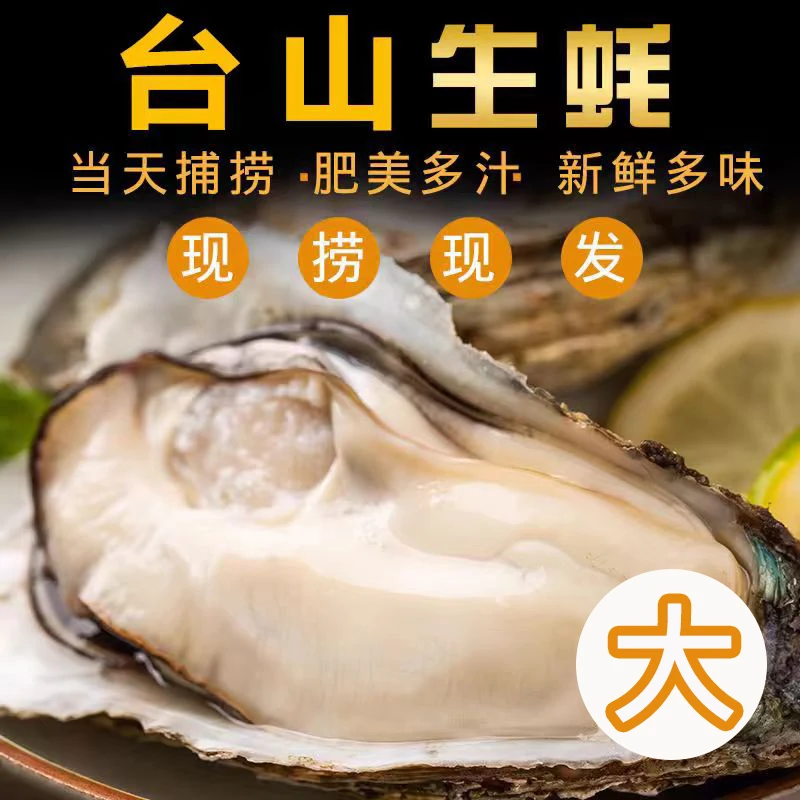 【台山特大蚝】台山白玉生蚝 鲜甜脆口 现开生蚝净肉 8-9只1斤1罐
