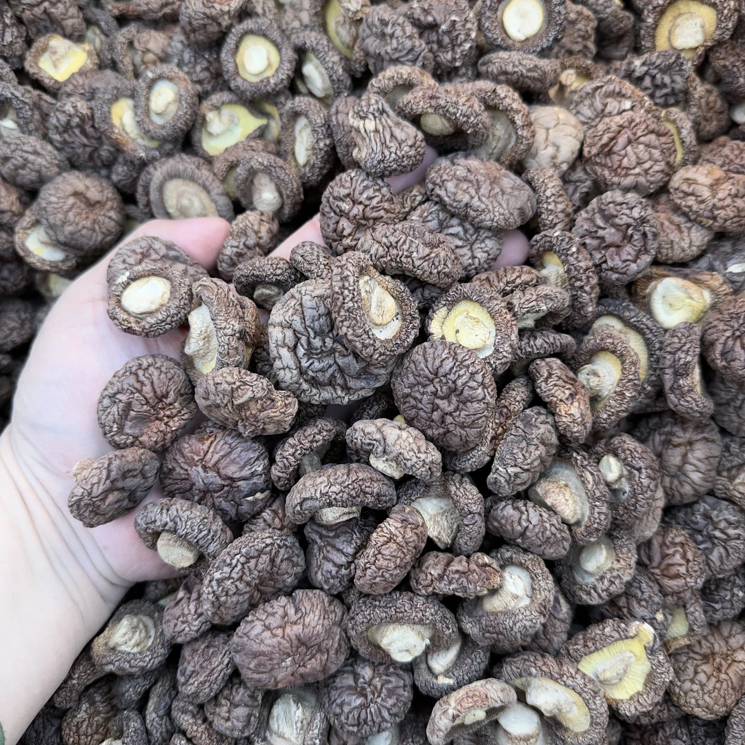香菇干货250g散装包邮农家特产小干香菇营养菌菇香茹干货蘑菇礼盒
