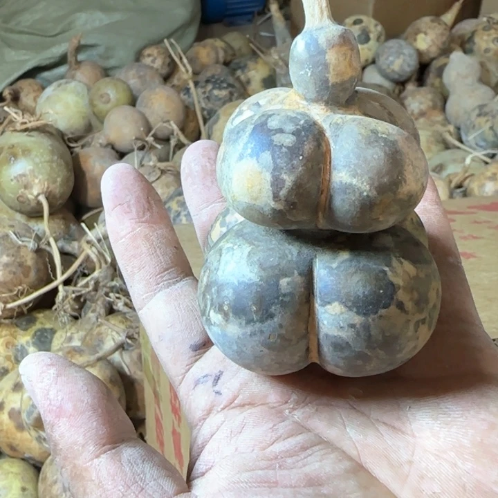 .****.葫芦画皮葫芦画皮