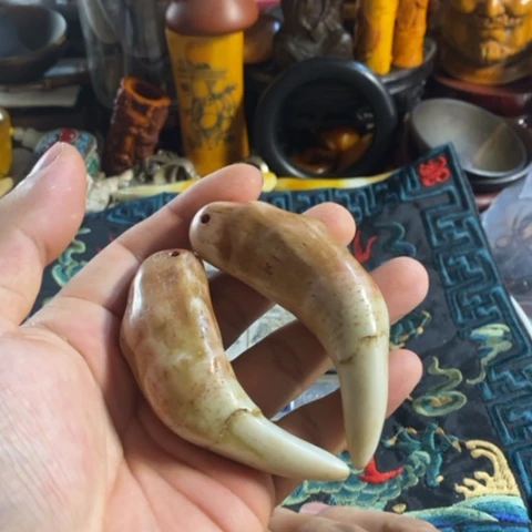 瓷片寻呼台的人也太少见啦哈