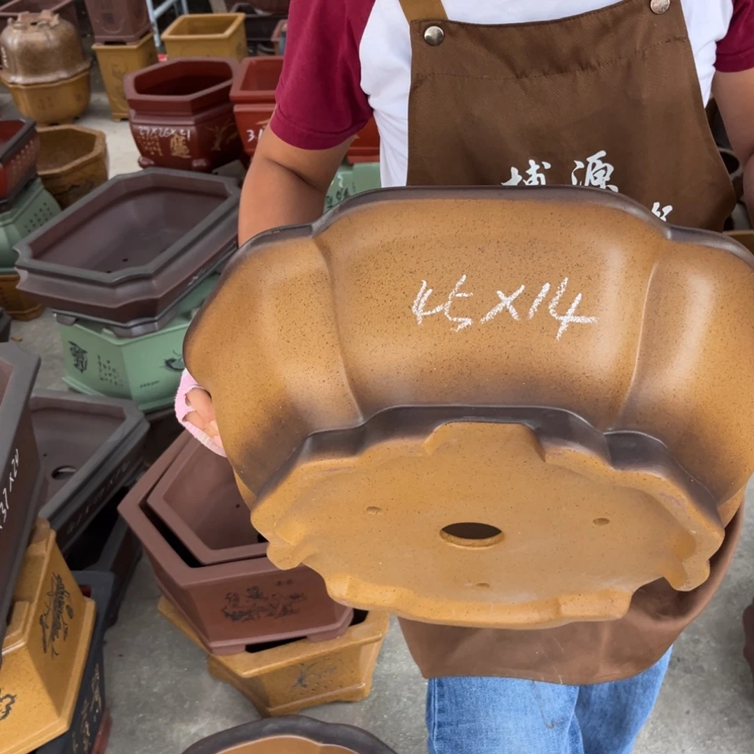 紫砂花盆盆景艺术