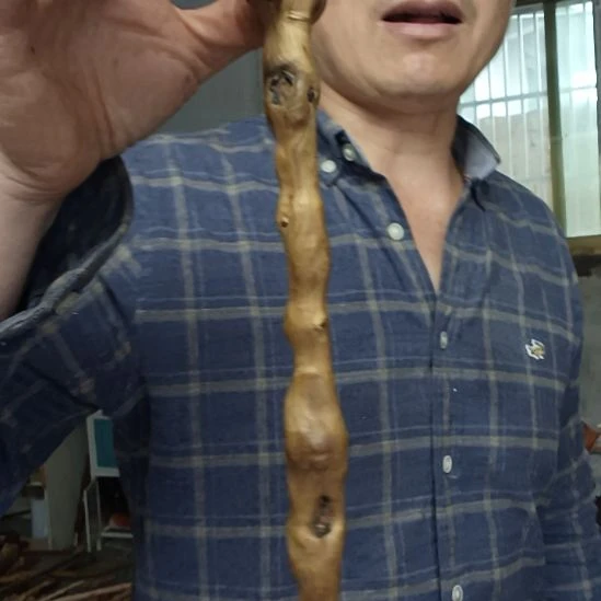 稳定木余*哥高山 檬子木文玩料