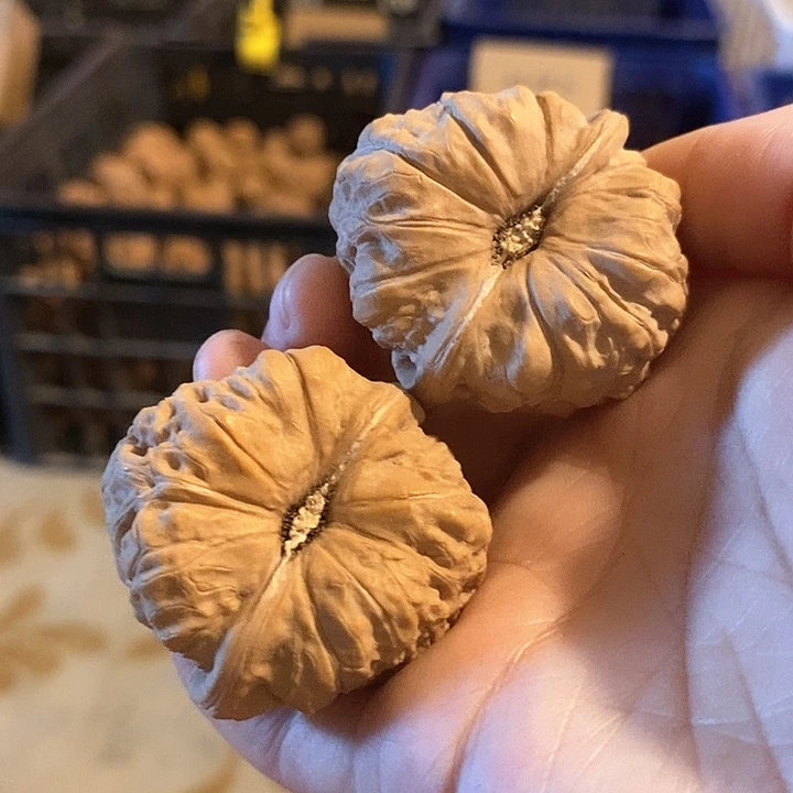 核桃手串/手链南瓜墩