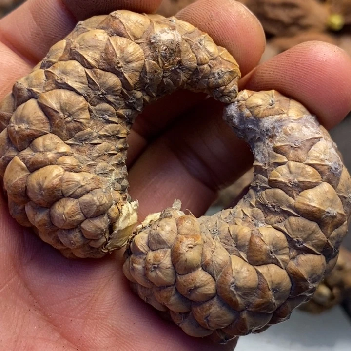 文玩核桃吊坠拿姐工艺240