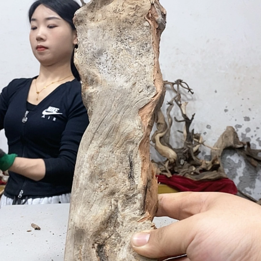 【闪购商品】柏木加*吧我们都是好孩子