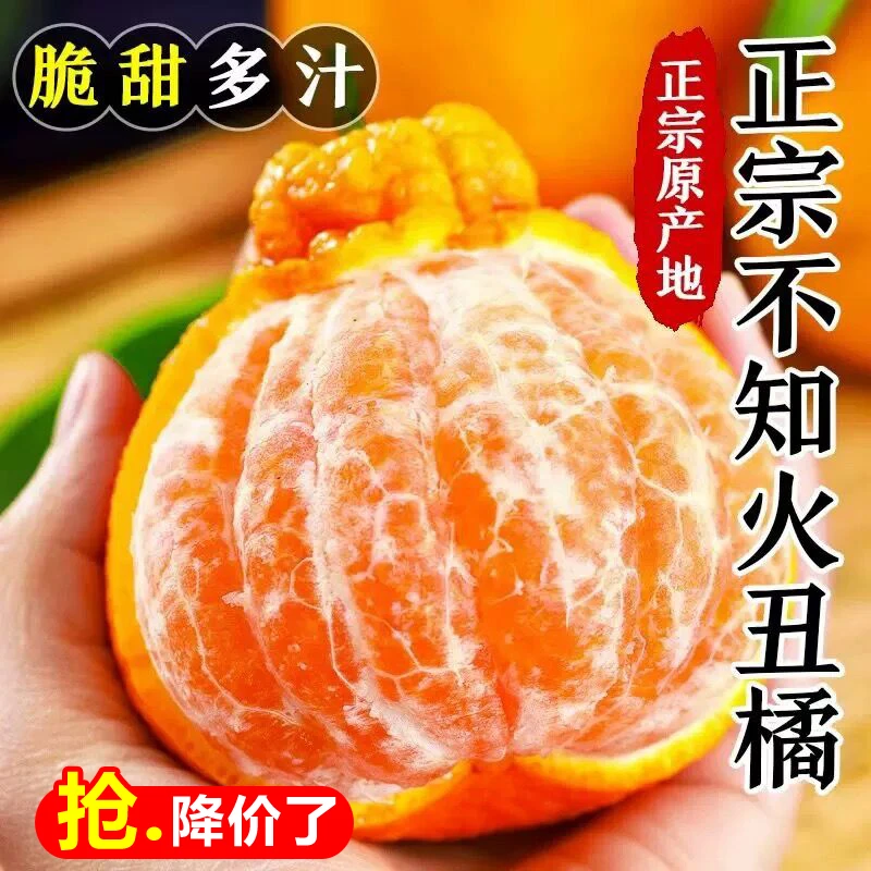 【精选品质】正宗四川不知火丑橘新鲜水果耙丑八怪耙耙柑粑粑桔子