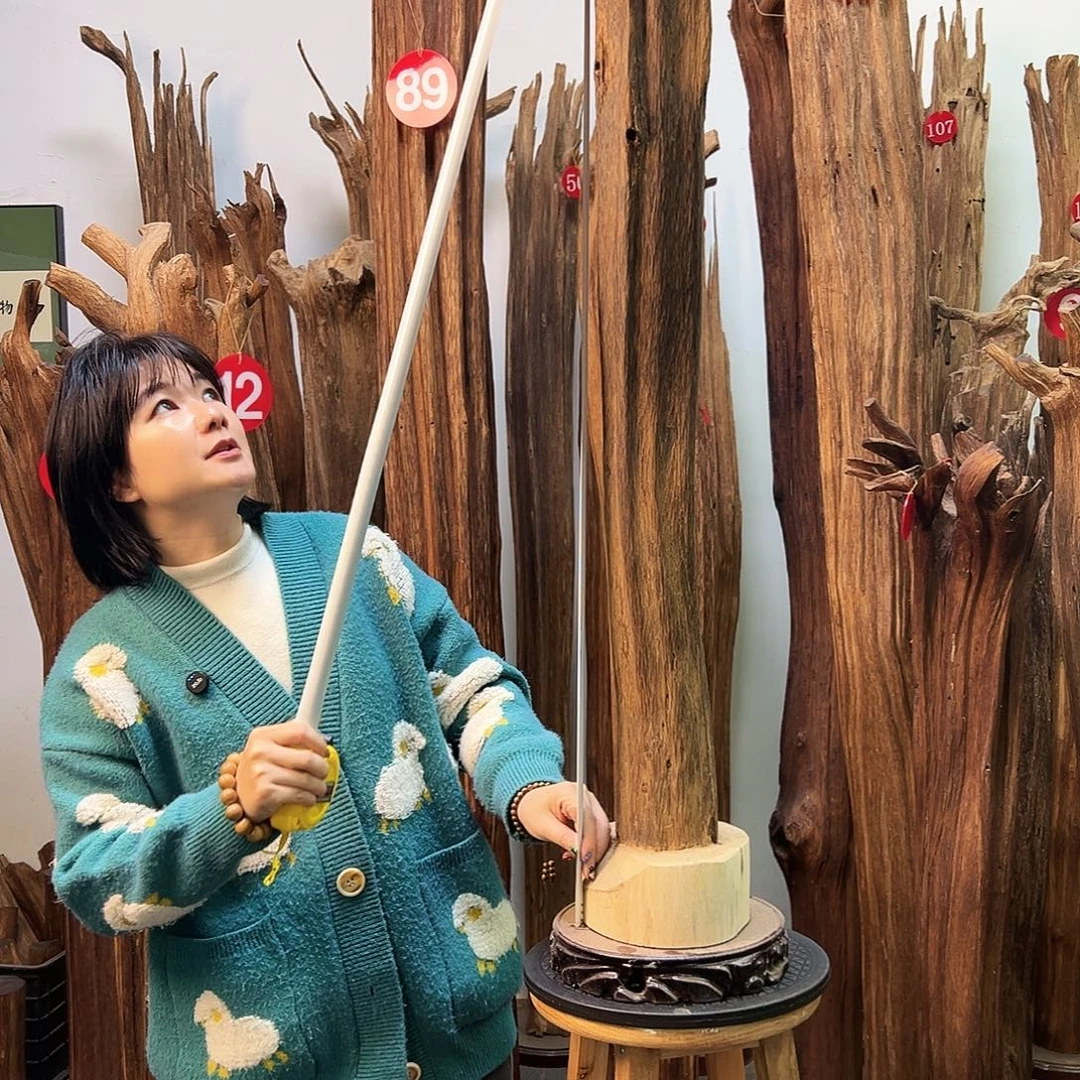 沉香碎屑沉香天然沉香原料香料