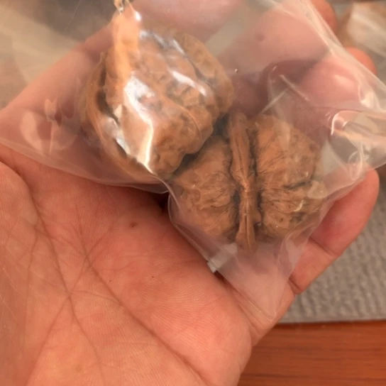 文玩核桃吊坠黑蛙