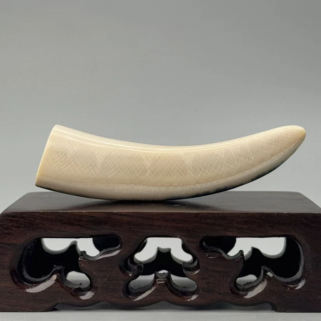 DEZHI/德志15.5g带皮牙尖67*16*15mm猛犸牙默认打孔配吊坠绳K802