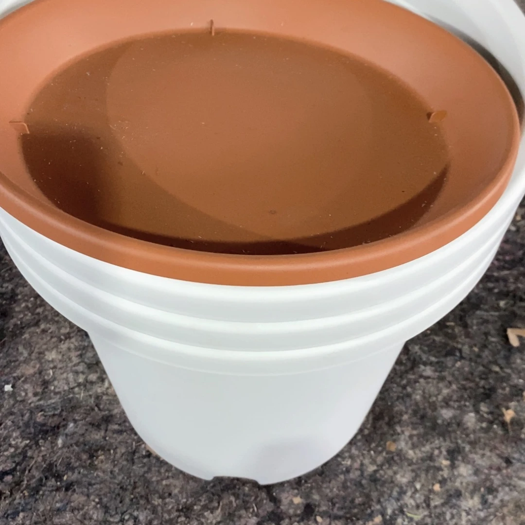 林*瑶4个29.5深色浮雕托盘