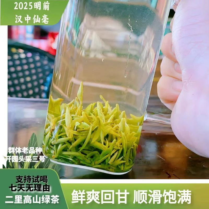 二里坝2025汉中仙毫三号群体明前味浓顺滑型美醇厚回甘兰花香甄选