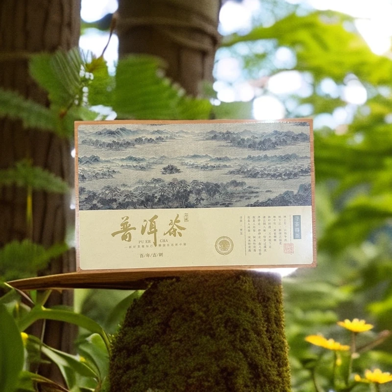 【库里拿云仓】古树生普洱