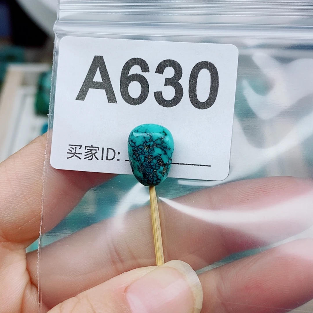 绿松石未镶嵌颈饰