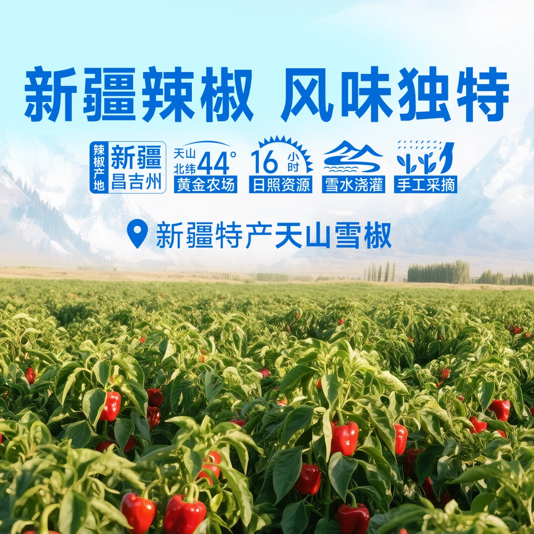 天山雪莲【多种口味组合】装新疆天山雪莲辣椒丝辣酱