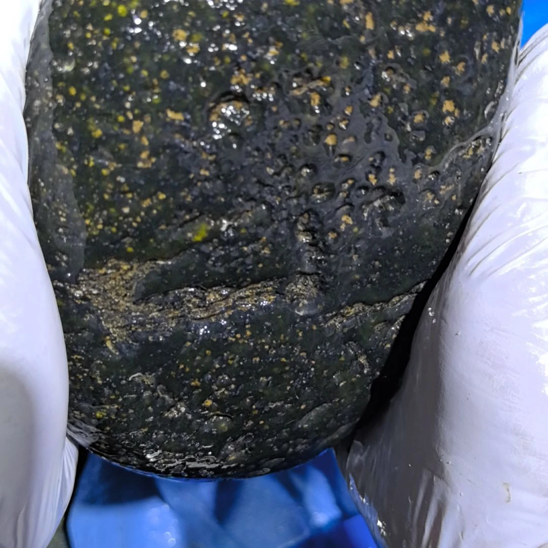 米***湖木藏玉药王石原石一个