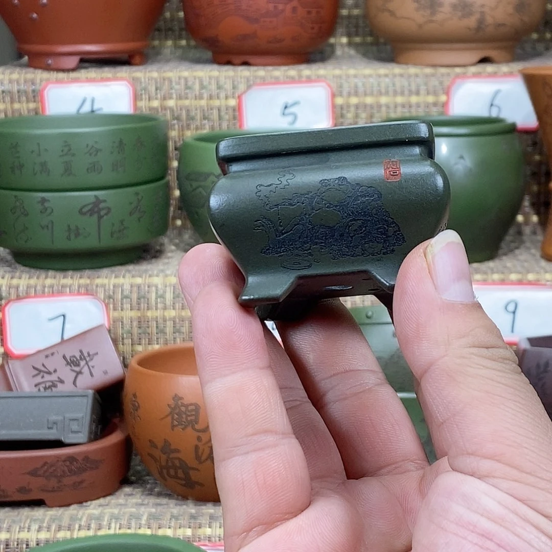 紫砂花盆我在等他