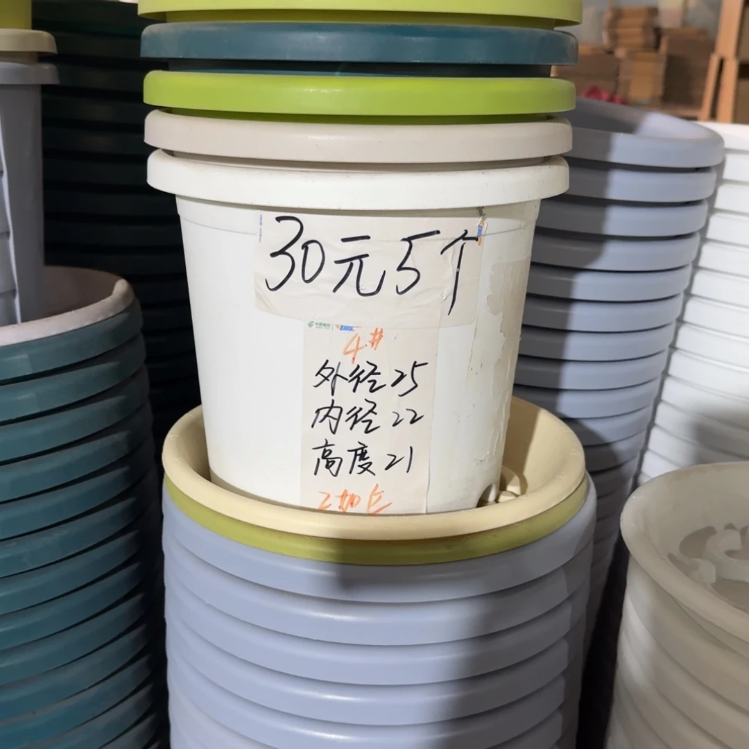 四季4#口径25无拖果绿10个