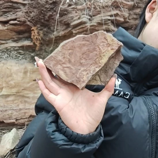 摆件泗水砭石疗养院生物电原石004