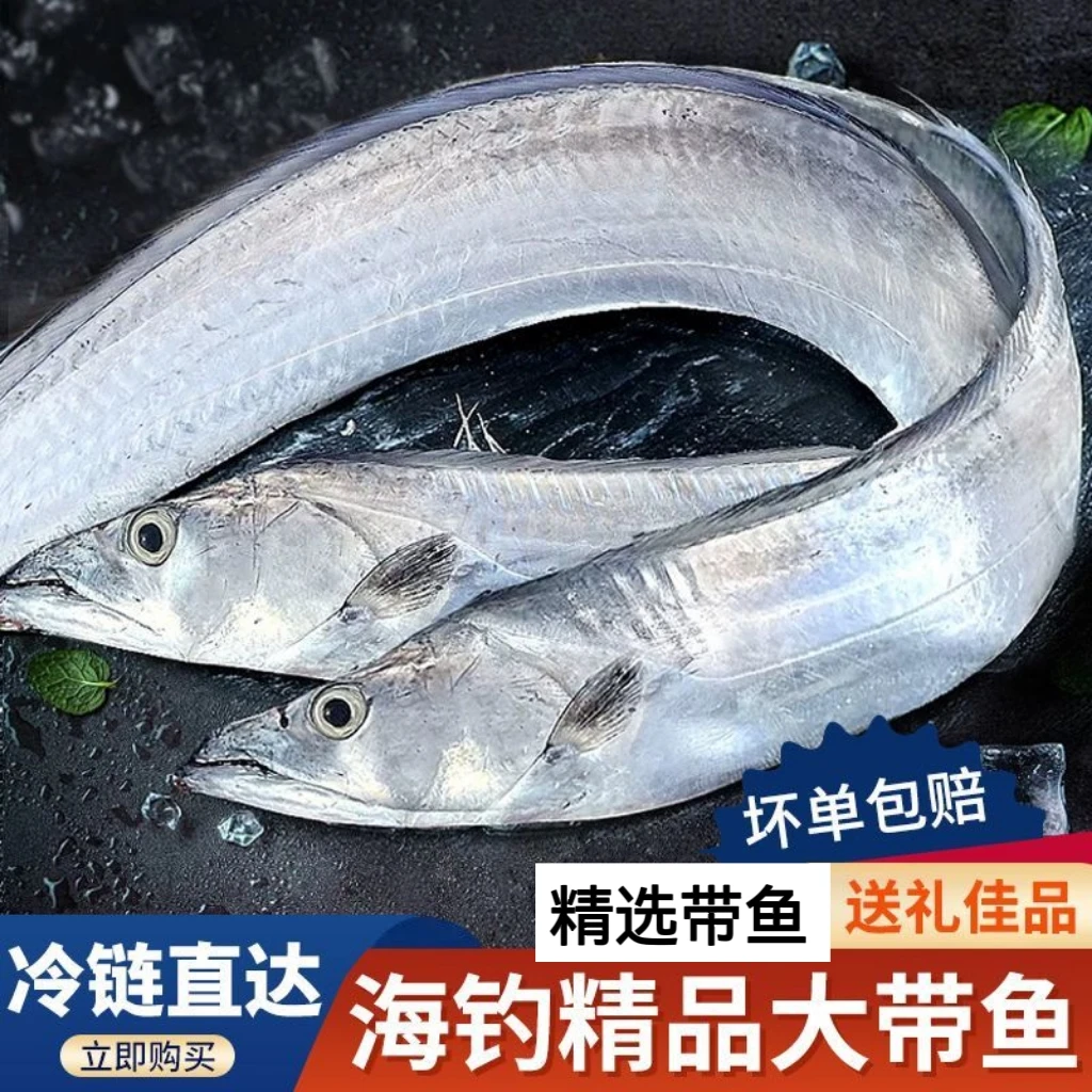 【冷链包邮】海钓带鱼礼盒整条带鱼刀鱼海鲜礼盒小眼海水鱼正宗