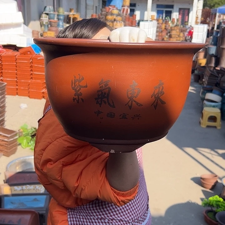 30紫气东来花盆花盆花盆花盆