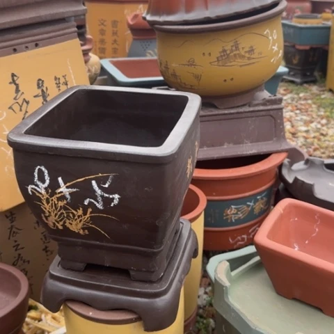 紫砂花盆紫砂花盆盆景盆栽