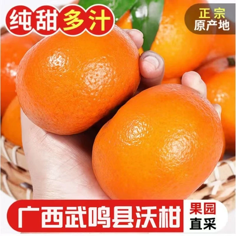 【正宗广西武鸣沃柑】香甜橘子当季新鲜水果香甜多汁坏果包赔包邮