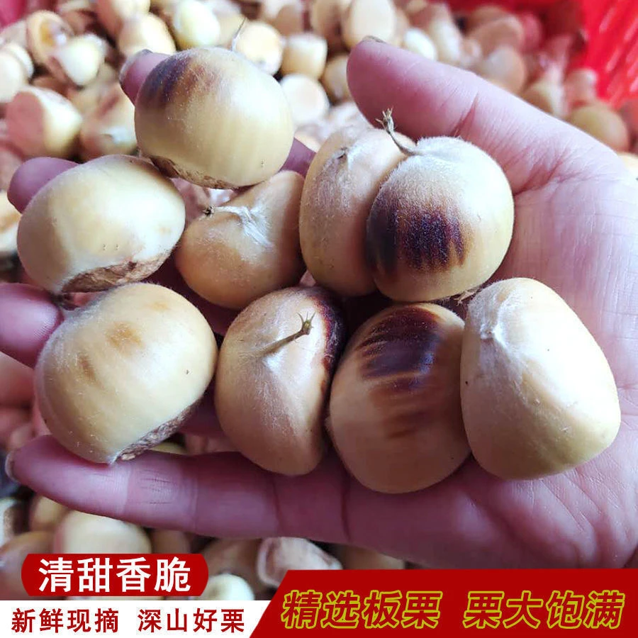 (顺丰包邮)新鲜花皮嫩生板栗花皮板栗内皮好剥焖鸡嫩板栗新鲜