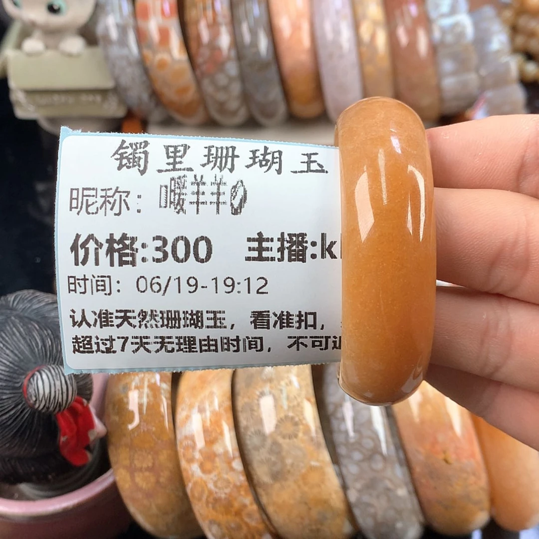 【闪购商品】硅化珊瑚（珊瑚玉）未镶嵌颈饰?***?